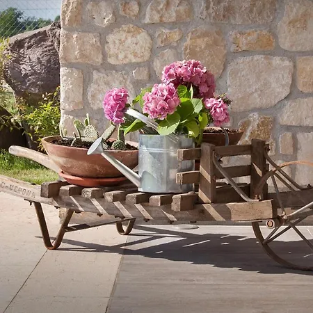 Panzió I Tre Olivi 3*