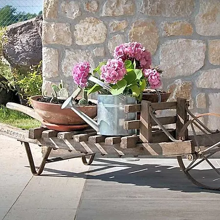 Bed and breakfast I Tre Olivi Colà